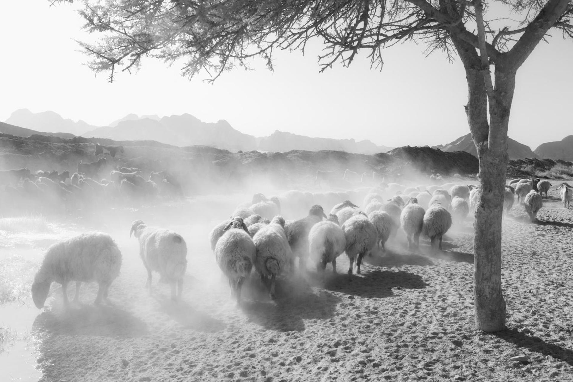 Wadi Rum Camp & Jeep Tour Экстерьер фото
